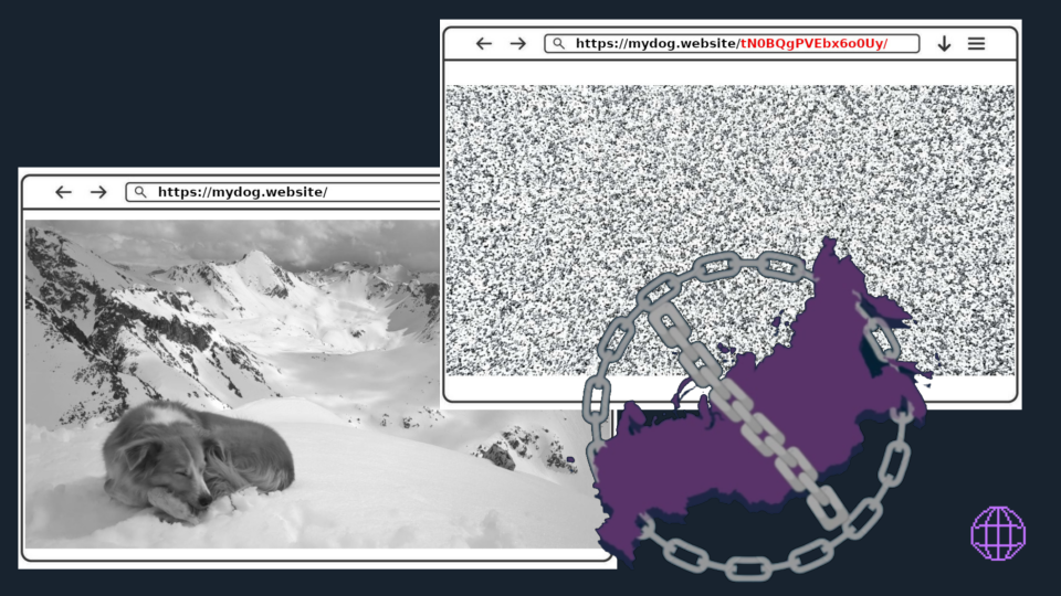 Two browser windows with the same URL, but one showing an image of a sleeping dog on an icy mountain, the other one showing scrambled white. noise. Overlayed with a purple map outlining Russia that is covered by chains.